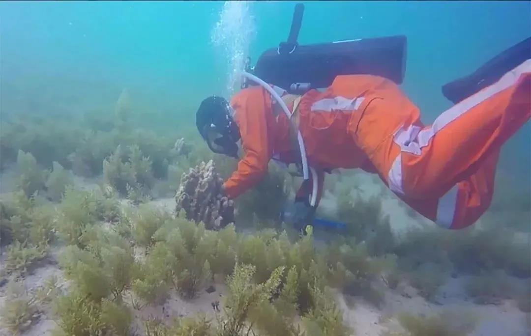 2021091508270593593.jpg 2021091508270593593.jpg