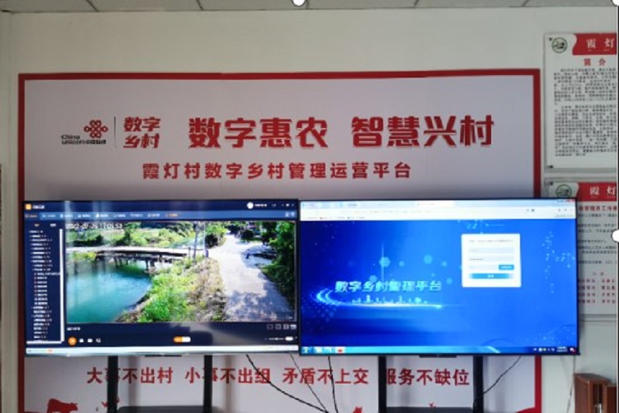 1686278990169465.jpg 12.jpg