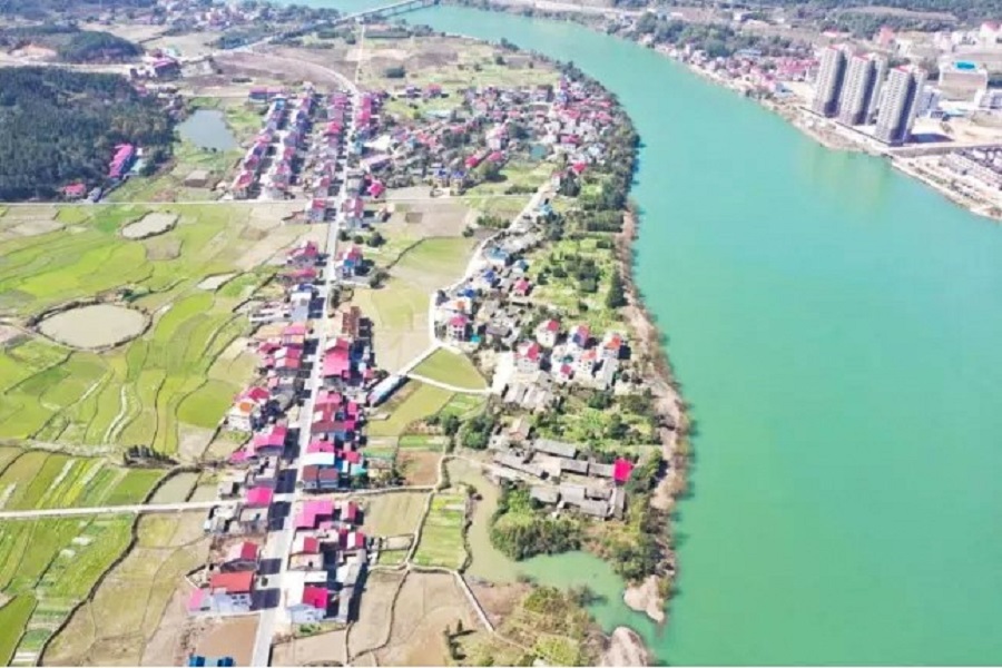 1686279018754493.jpg 13.jpg