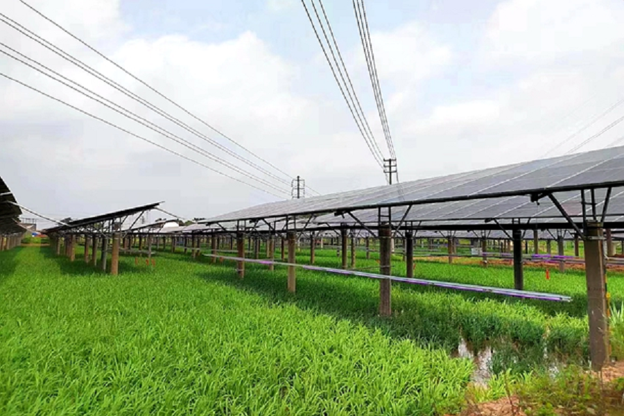 1686710195113938.png 8.png